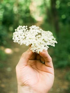peter-mason-HGvCRB2p7Ms-unsplash-225x300 INSPIRED Forest School Conference :: May 20th 2022