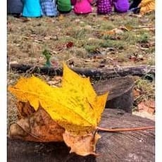Level 1 Forest School Awareness training :: July 2018