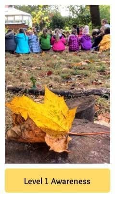 level1 Level 1 Forest School Awareness training :: July 2018