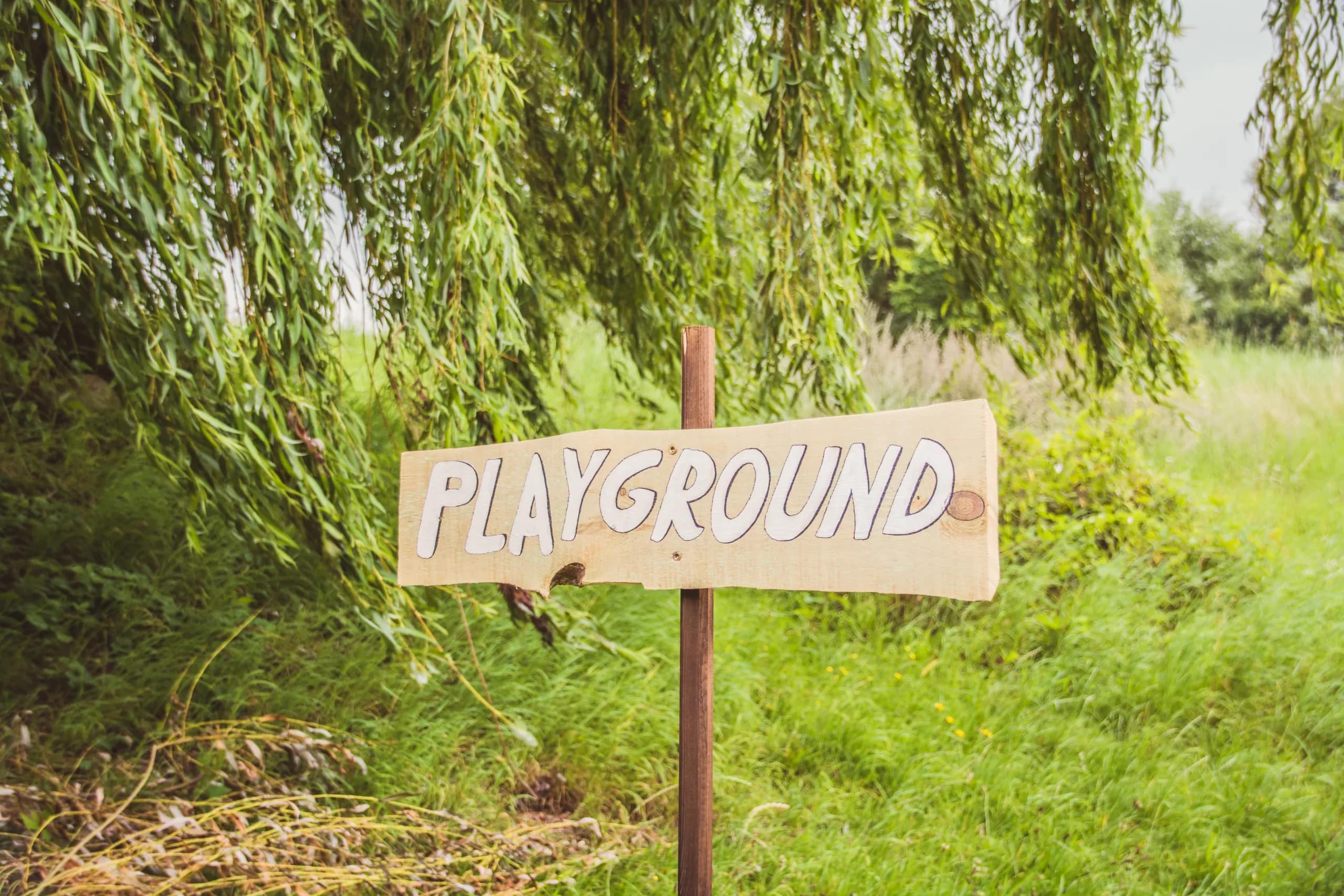 jasmin-schreiber-Fpi3B9RMe5E-unsplash-scaled Cultivating Nature-Centric Education: Choosing the Ideal Forest School Teacher Training Program for Success