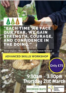 INSPIREDadvancedtool Maintain professional practice