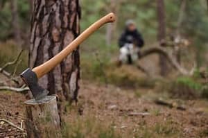 useoffire Can You Run a Forest School Without a Qualification? Exploring Forest School Practitioner Training