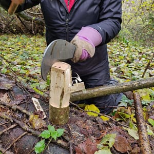 IMG_20191126_133244-scaled Level 3 Forest School Training - January 2021