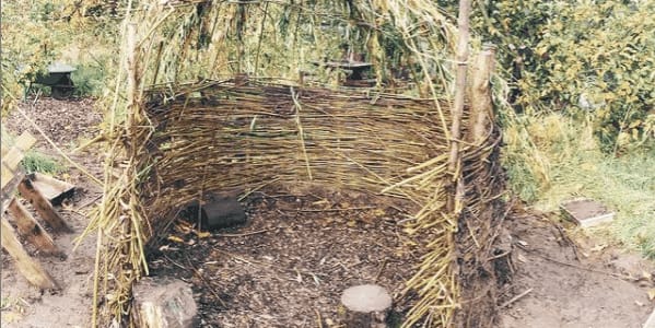 History and Forest School History and Forest School