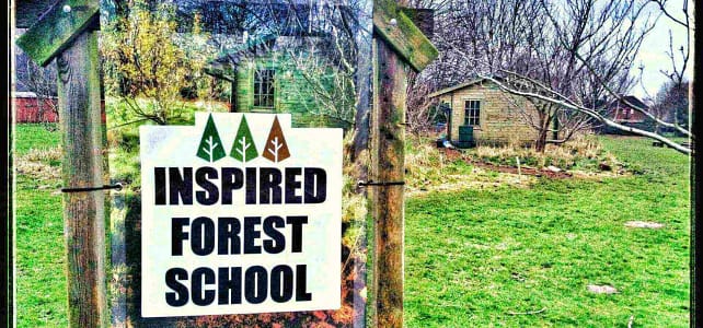 The Scandinavian Secret: Why Our Forest School Ethos Works (And Why It Matters to Your Level 3) Working Forest School site in Gloucestershire where we teach Ofqual regulated Level 3 Leader training courses.