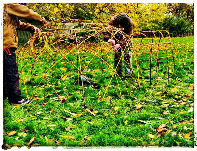IMG_20231113_134209-01-1-scaled Willow Dome In A Day - November 2026 or January 2027