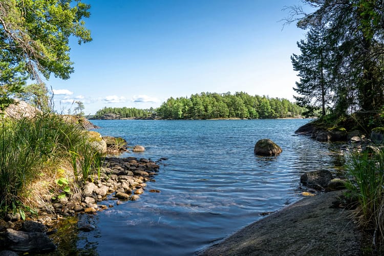 scandinavian-ethos-forest-school-churchdown The Scandinavian Secret: Why Our Forest School Ethos Works (And Why It Matters to Your Level 3)