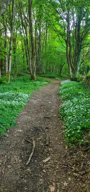 university-of-glos-partner-training Forest School Leader Training: Worcestershire, Wiltshire & Oxfordshire