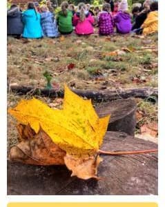 <span class="ee-status event-active-status-DTS">Sold Out</span>Level 1 Forest School Awareness course