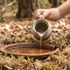 Managing High Heat in Forest School: A Practitioner’s Summer Guide