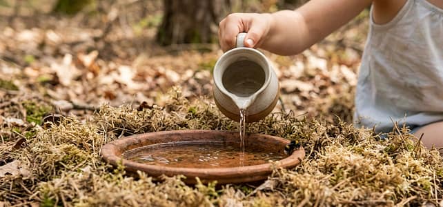 Managing High Heat in Forest School: A Practitioner’s Summer Guide Managing High Heat in Forest School: A Practitioner’s Summer Guide